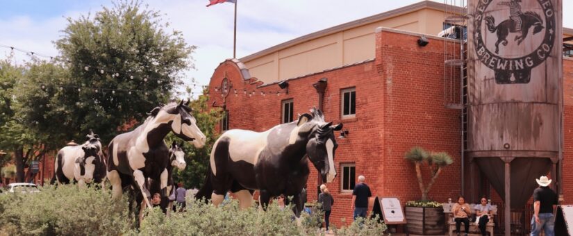 The Best Fort Worth Neighborhoods for Residential Real Estate Investment in 2026
